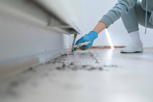 Pest Control for Restaurants in Franklin, WI